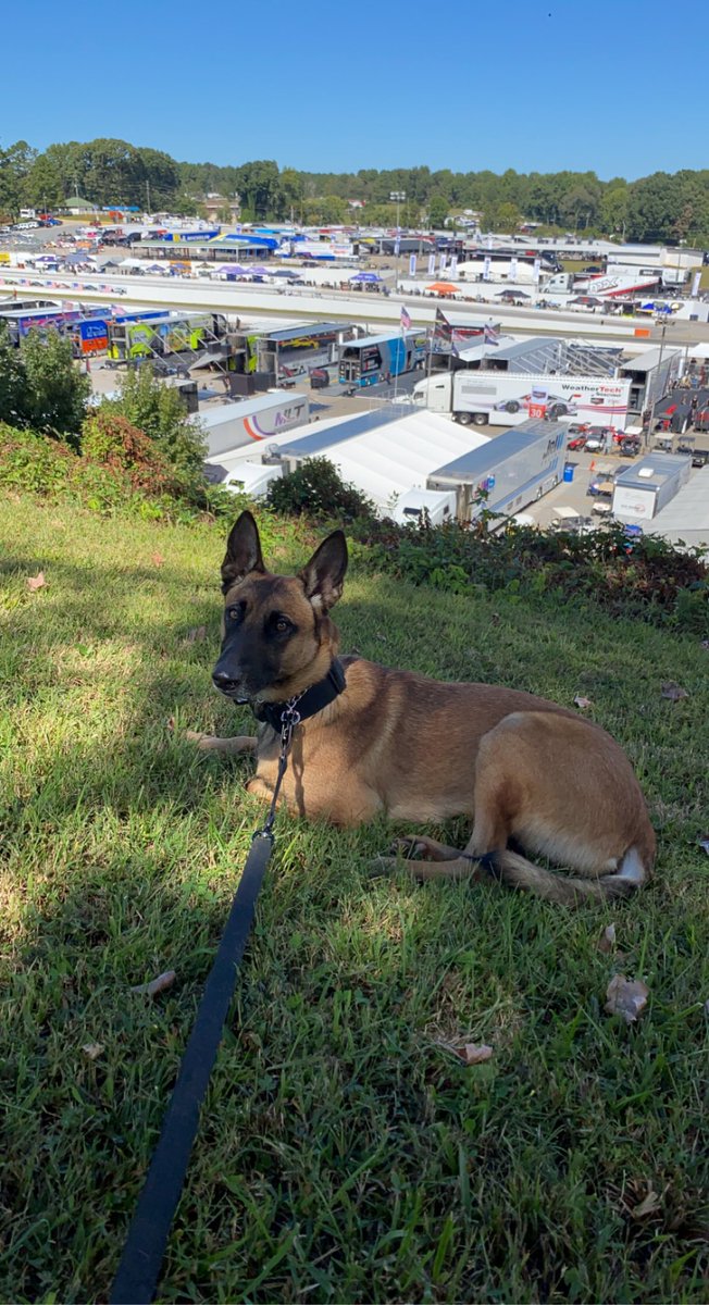 kellieq123's tweet photo. Luna Overseeing load-in @RoadAtlanta @WrightRac1ng @1stPhorm https://t.co/MO3fMMTFMK
