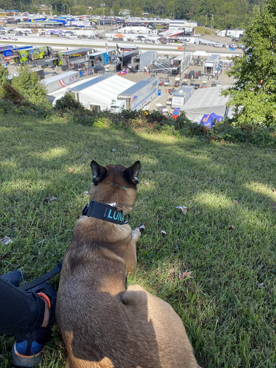 kellieq123's tweet photo. Luna Overseeing load-in @RoadAtlanta @WrightRac1ng @1stPhorm https://t.co/MO3fMMTFMK