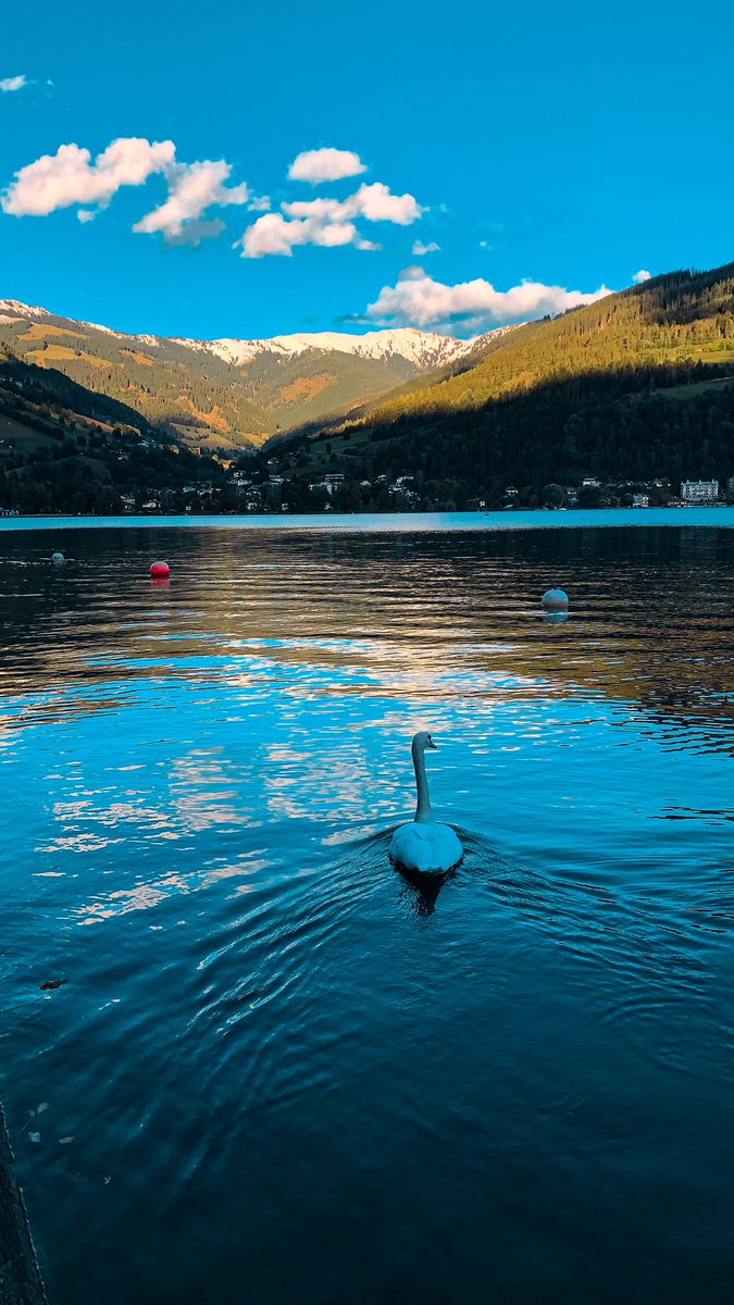 -

" الفاتنه #زيلامسي 🌸.