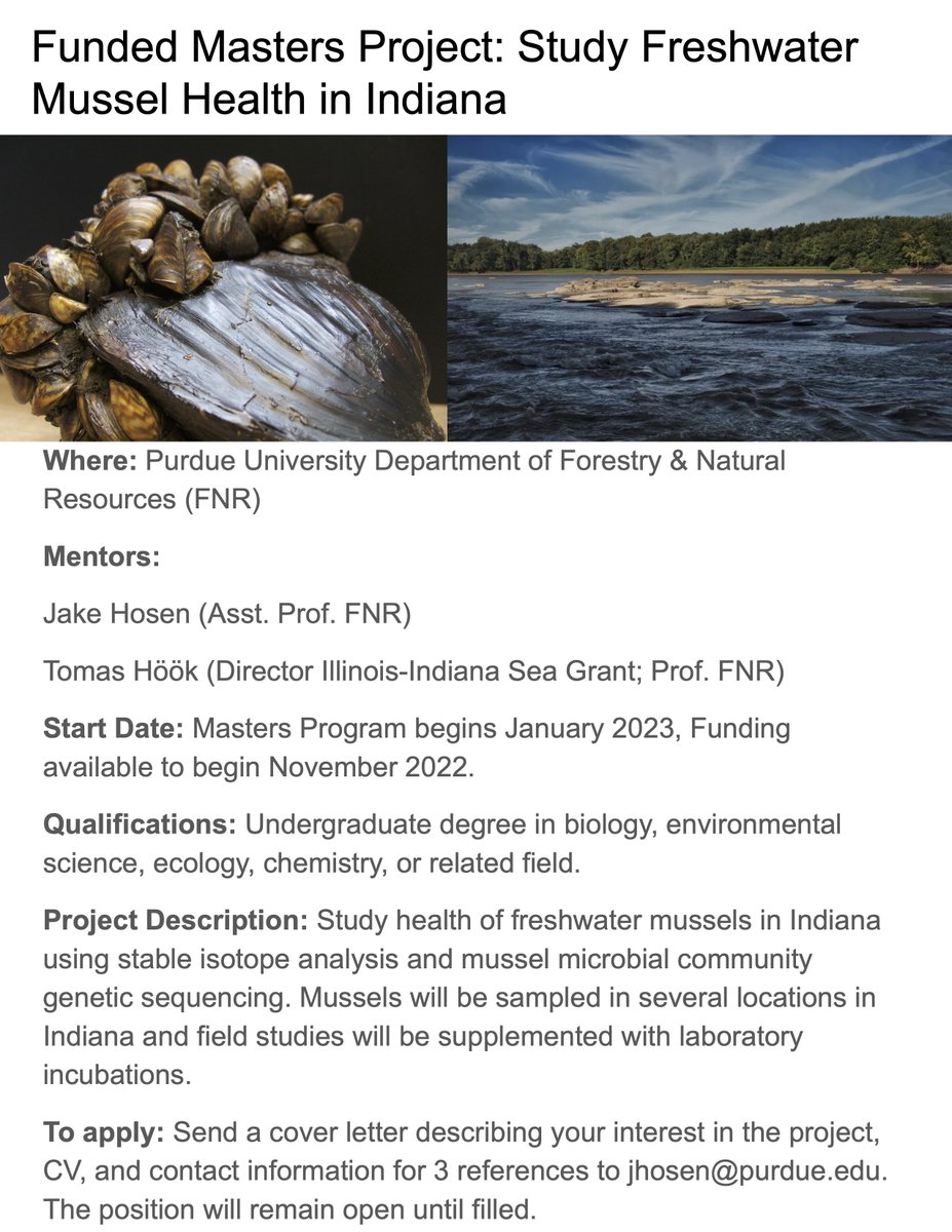 Masters opportunity studying freshwater mussel health and microbiomes. Position in <a href="/PurdueFNR/">Purdue Forestry & Natural Resources</a>! Degree program begins in Jan '23, but funding is available to join the team starting in November.
