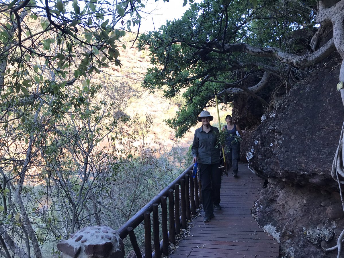 Matteo_sbs's tweet photo. Glad to be back to the field in #SouthAfrica with https://t.co/hMIah9OqHk to work on #SongGeneProject!! We just had a fantastic day working with @UPEcology to set up the landscape genomics study! Next stop @AfriBioacoustic 2022 in @SANParksKNP!!! https://t.co/wRReSGjshm