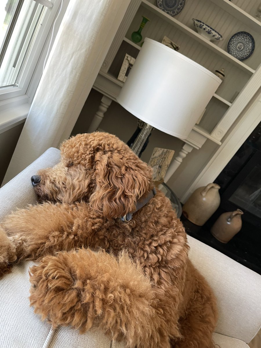 When you hear the wrapper from the sliced cheese bag..vs..when you hear a potential intruder at the front door. #selectivehearing