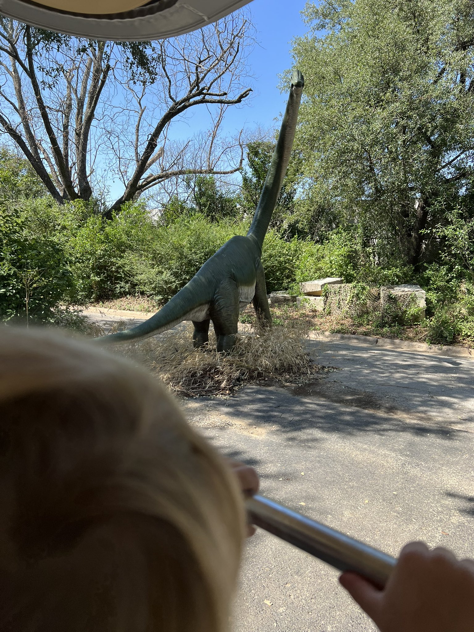 Dinosafari Twitter Search Twitter