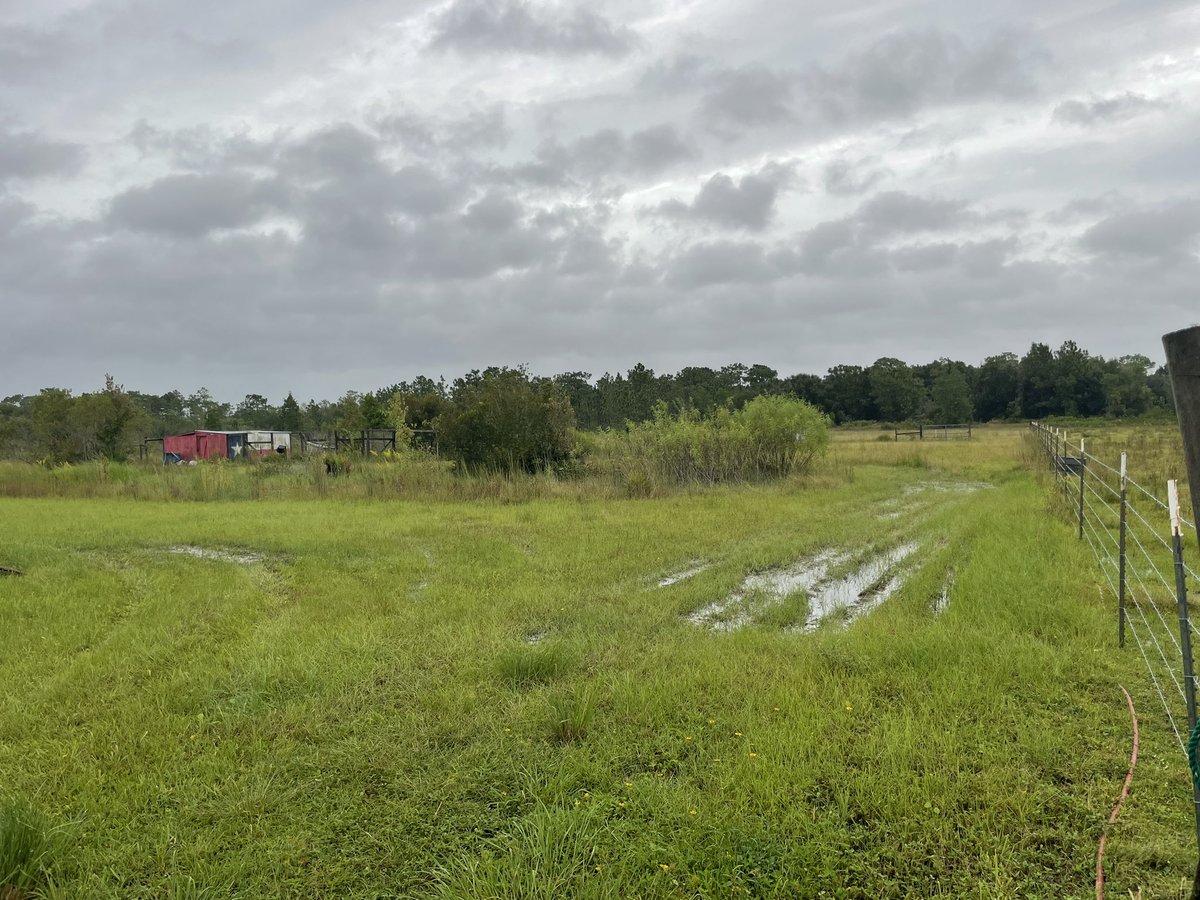 KU5E's tweet image. #snapthestorm @FOX35LuAnne @fox35orlando @fox35stormteam @fox35orlando 
Just another rainy soggy windy day in Bull Creek. I don’t think our pond has ever been this full. Bet it will be worse tomorrow.