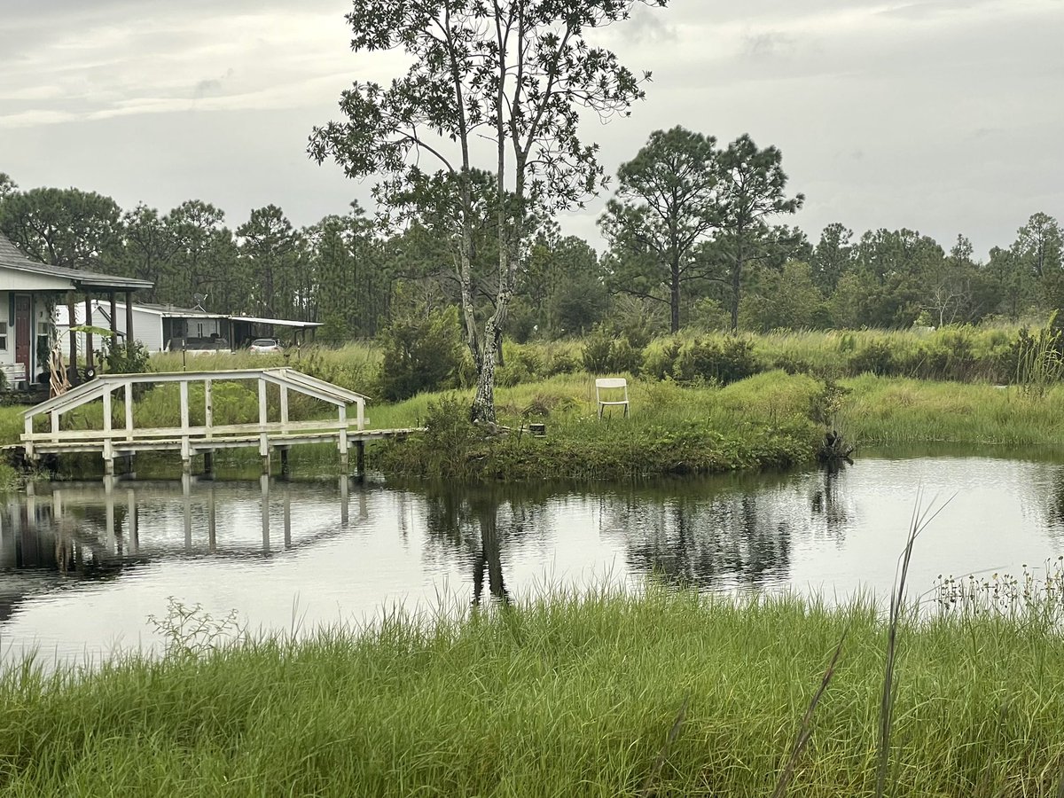 KU5E's tweet image. #snapthestorm @FOX35LuAnne @fox35orlando @fox35stormteam @fox35orlando 
Just another rainy soggy windy day in Bull Creek. I don’t think our pond has ever been this full. Bet it will be worse tomorrow.