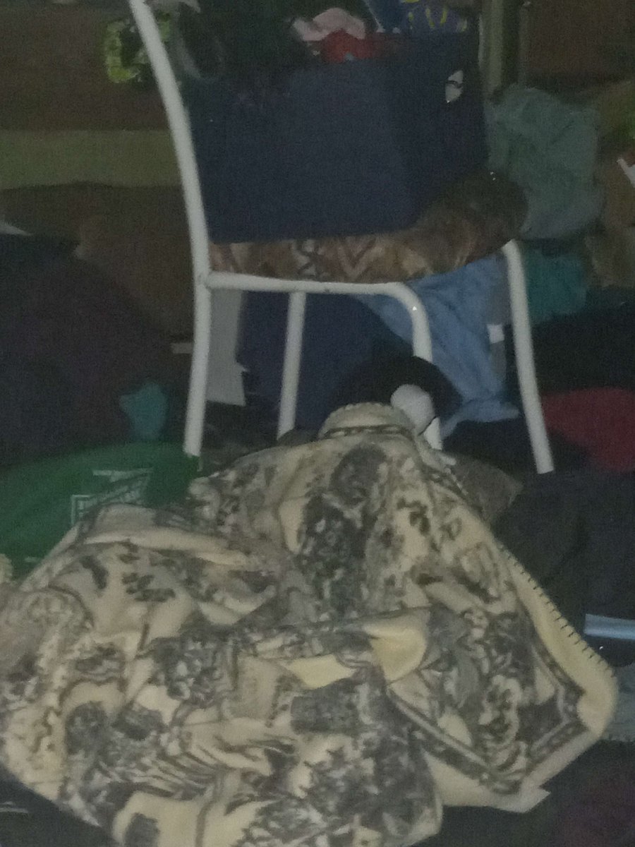 LazuliLovemail's tweet image. #SPAMTONCHALLENGE