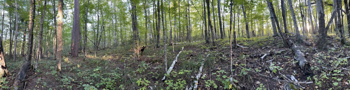 🇺🇦🇺🇸Matt Carlstrom (@mcarlstromdr) on Twitter photo 