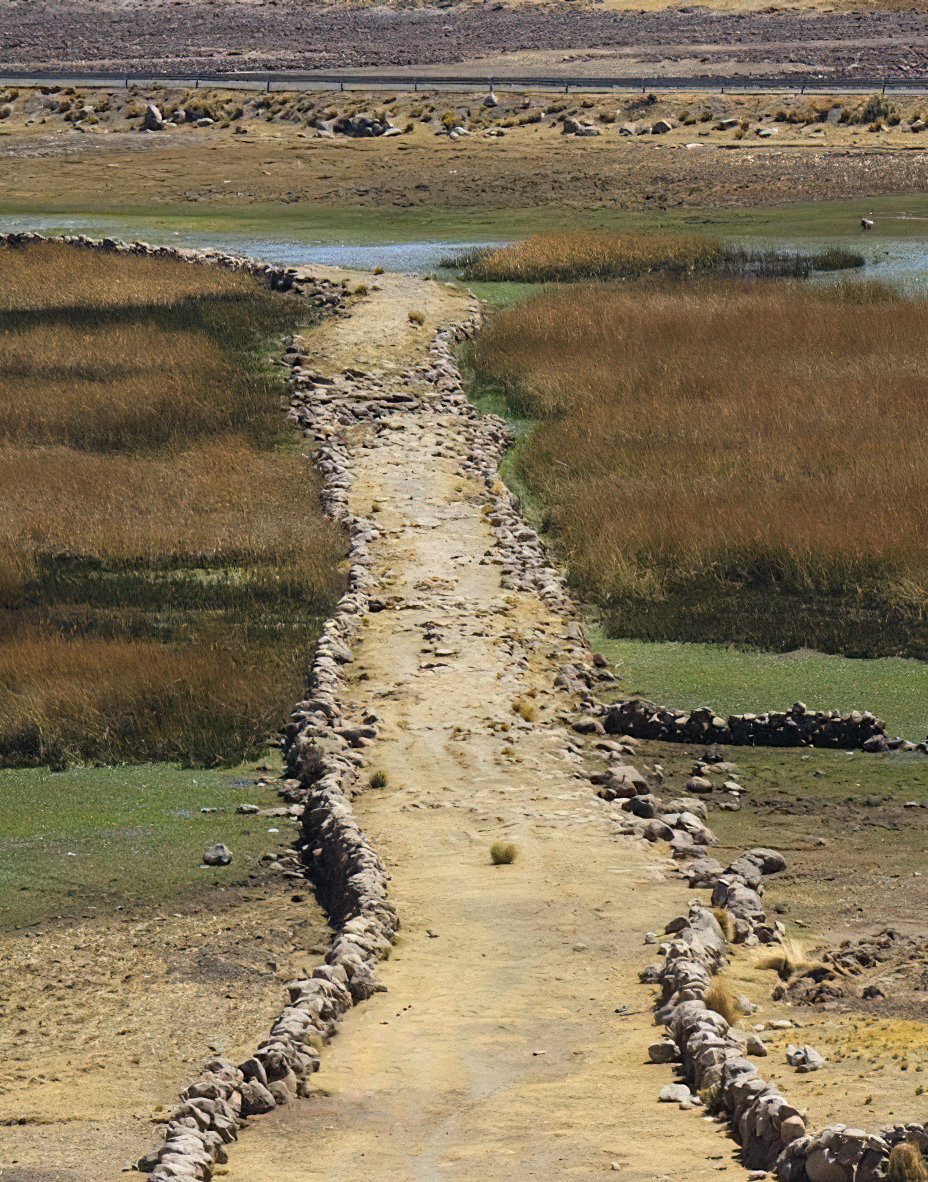 QhapaqNanPeru's tweet photo. La calzada elevada es un tipo de camino construido sobre el terreno natural con pequeños muros a los lados que contienen el relleno interno y el empedrado en la superficie, lo cual era útil para pasar por zonas pantanosas o humedales.
📷Orillas del lago Titicaca, #Puno
#QhapaqÑan https://t.co/DYu2DyegHy