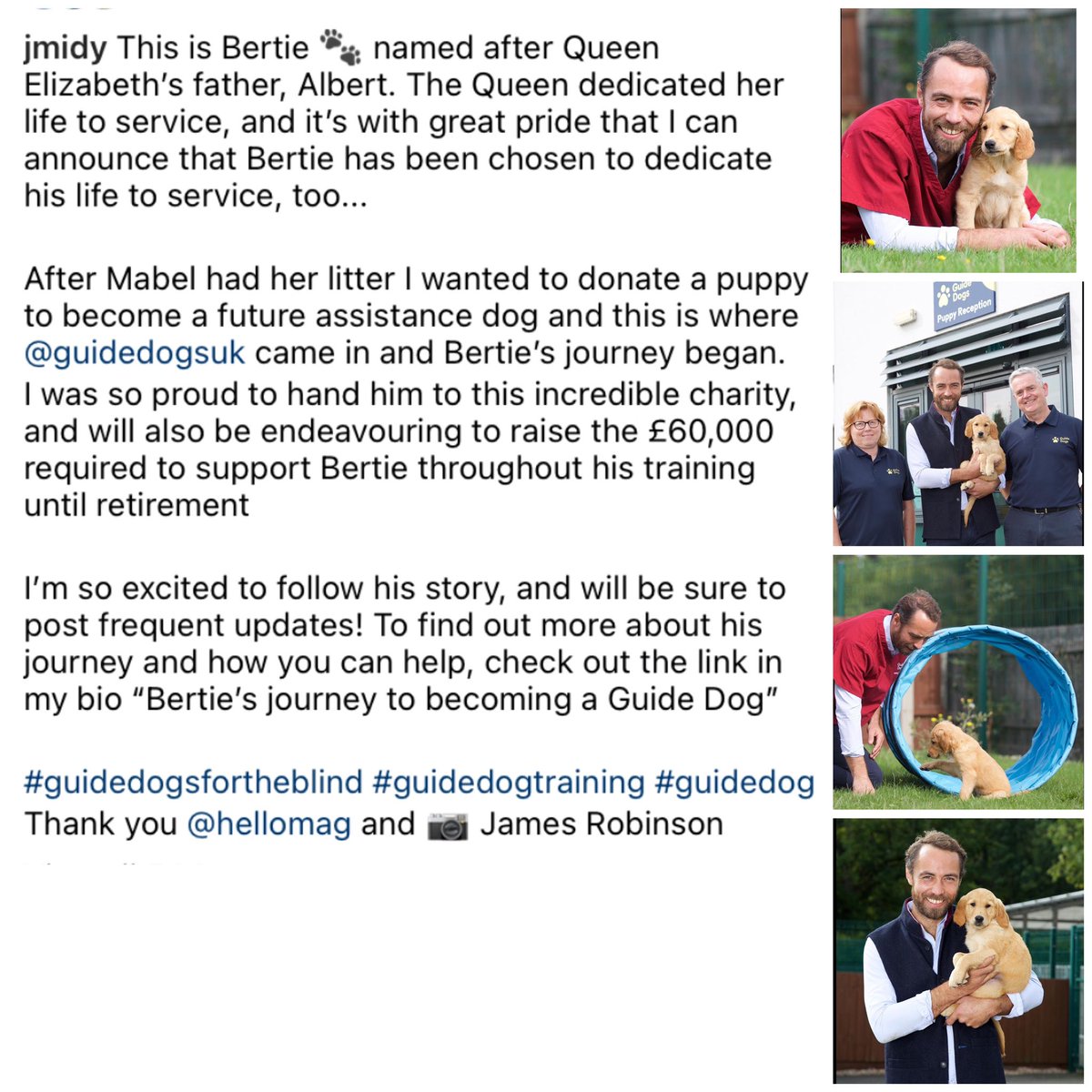 Remisagoodboy's tweet image. James Middleton on Instagram.  This man is just lovely inside and out.
Anyone who knows me, understands the key to my heart is through my dogs. 🐾💙🐾

ella.co/blog/berties-j…
#guidedogsfortheblind #guidedogtraining #guidedog 

@dagmar_Marie77