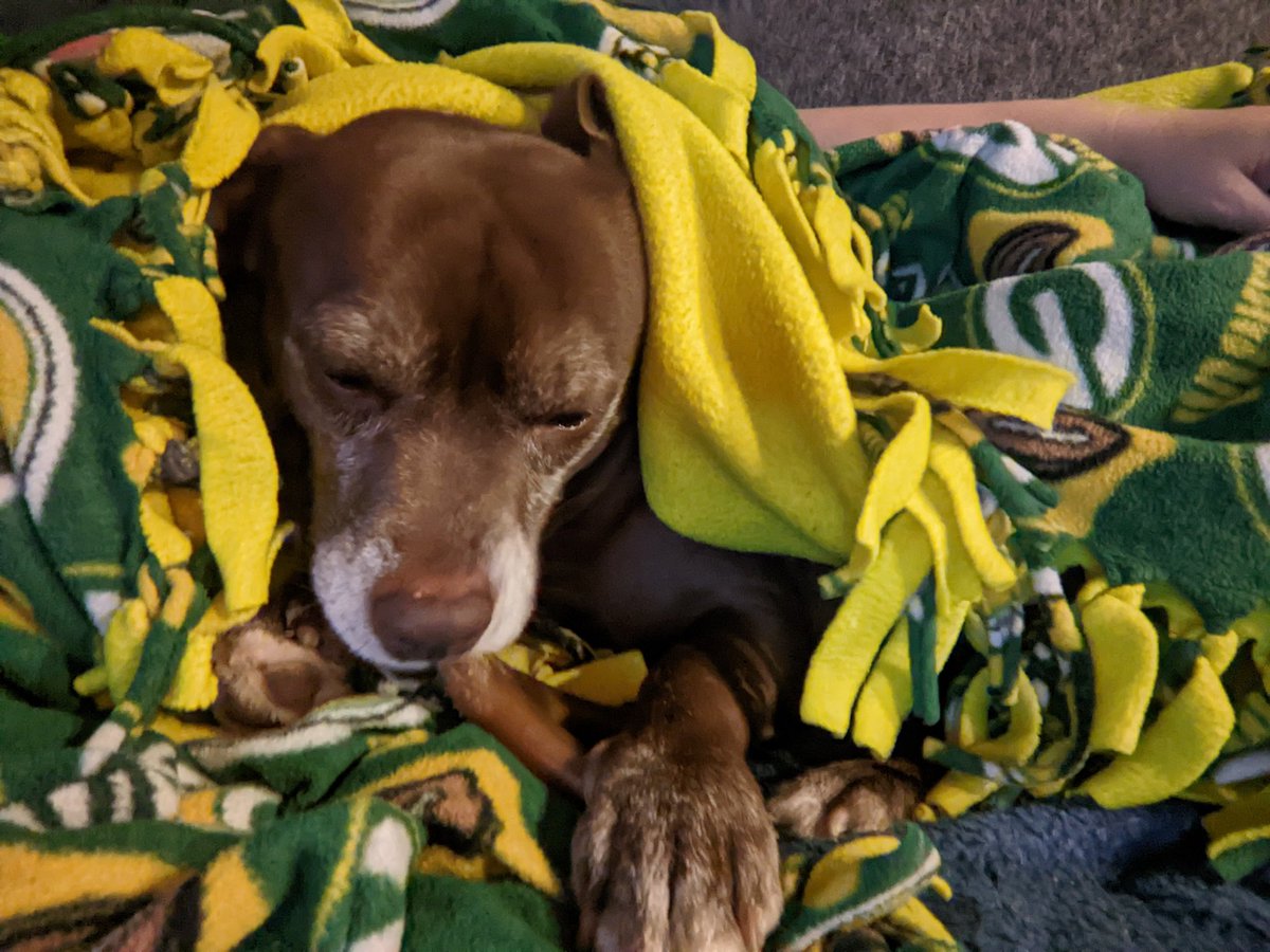 bazani330's tweet photo. Watching @Jeopardy and living his best life! #quiztime #justziggythings https://t.co/IA7ZWT7a3f