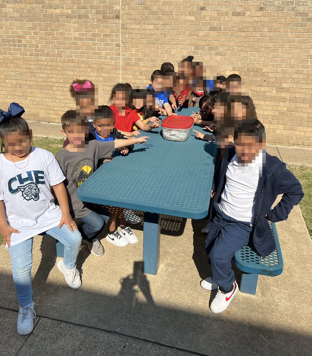 CarianneRapp's tweet image. @ClubHill_Cougar Students investigate and observe the physical properties of a piece of chocolate, marshmallows and how adding heat can change things. #smores #LearningIsSweet