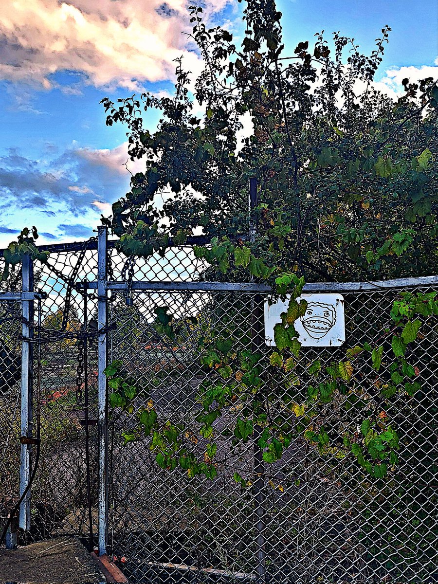 Sharingan_grrl's tweet photo. We love to see it🤘😻 thank you @Goonswood #art #nygraff also appreciate the random-chair-art https://t.co/JvrhphmNnL