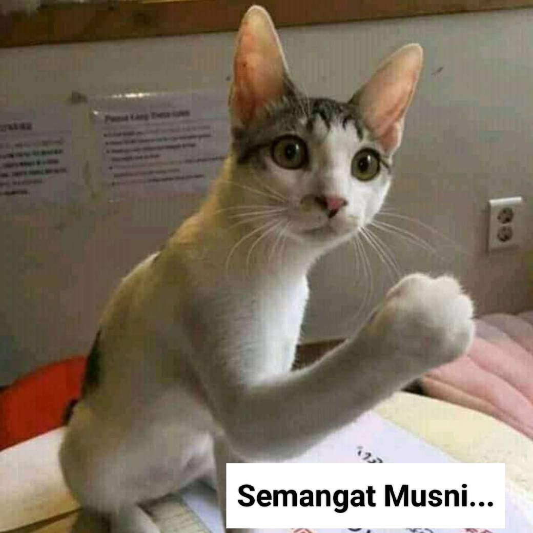 Papa_mudaaa's tweet photo. @musniumar https://t.co/AENpuYrPkD