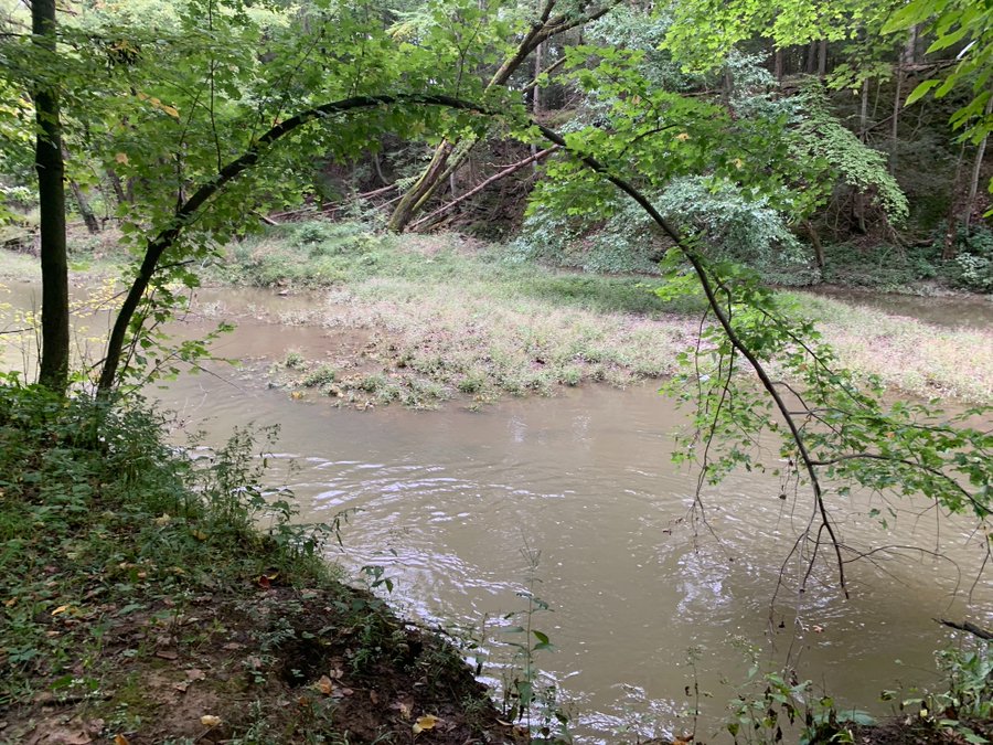 Val LaMore tweet media