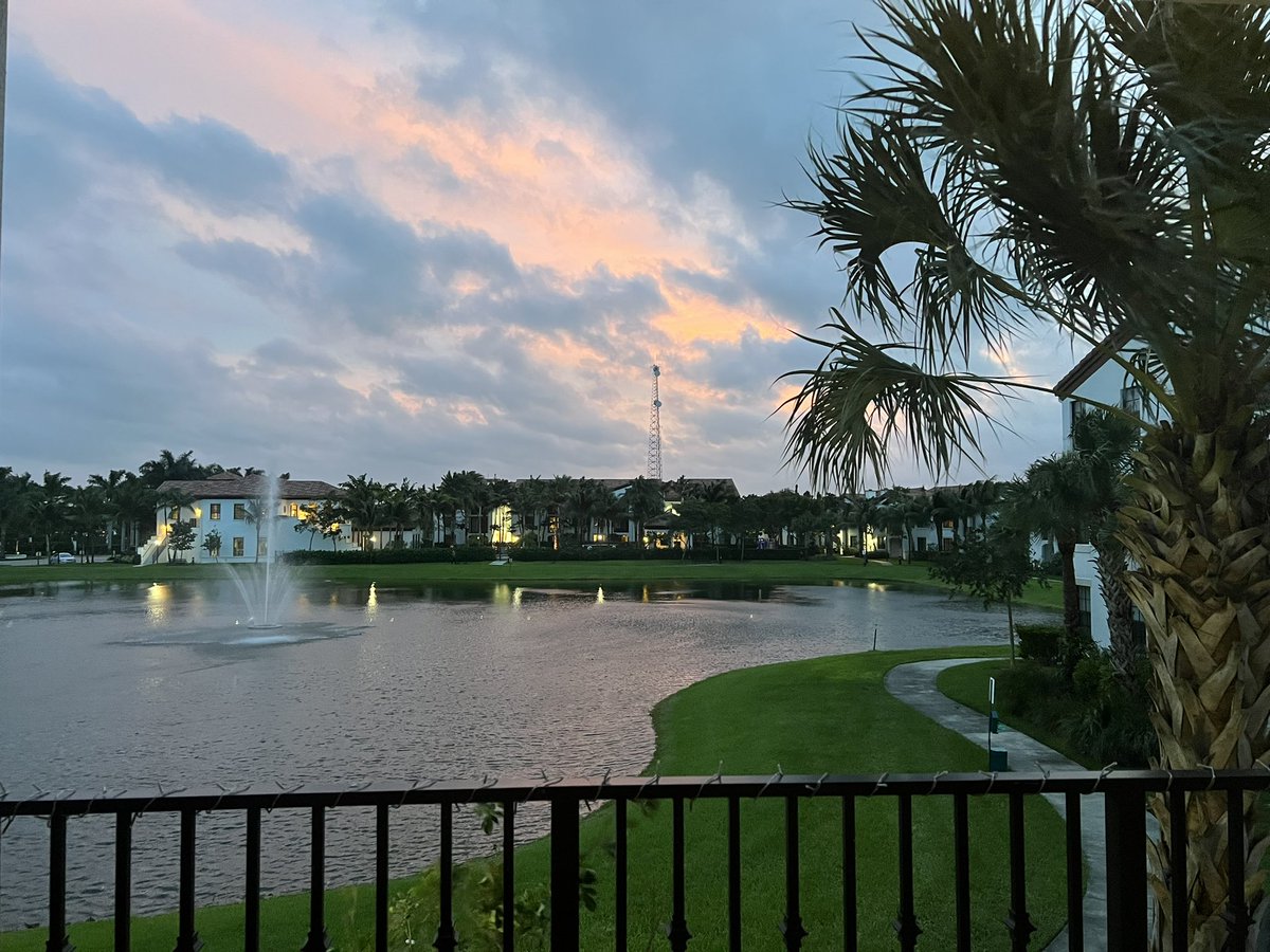 jill_millander's tweet image. Much prettier than last night 🧡. #thankfully #florida