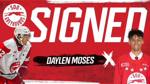 SIGNING ALERT; 'Hounds sign <a href="/mosesdaylen5/">Daylen Moses</a> to SPA and Education Package'
📰 soogreyhounds.com/article/hounds…