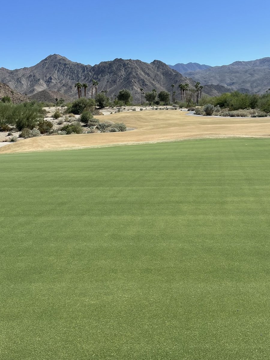 MiniVerde loving this time of year, the rest of the course is ready for #Overseed2022