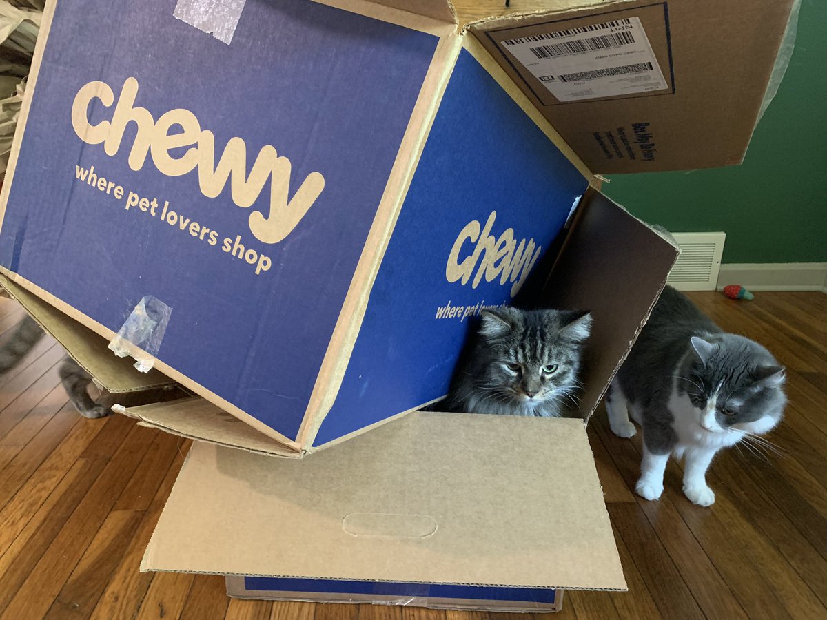 eric_harris13's tweet photo. @Chewy #ChewyDelivery https://t.co/1pWOcKKoyt