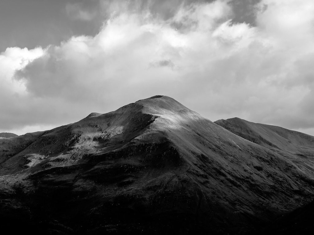 David Smith tweet media