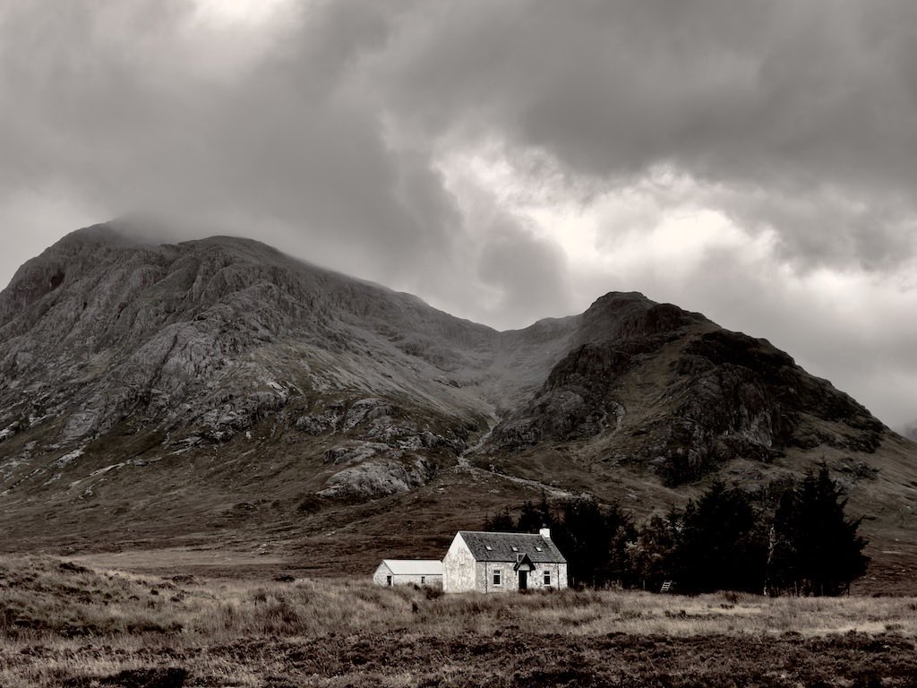 David Smith tweet media