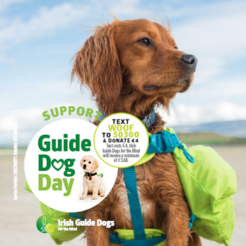 Watson Adventure Dog (@adventurewatson) on Twitter photo 