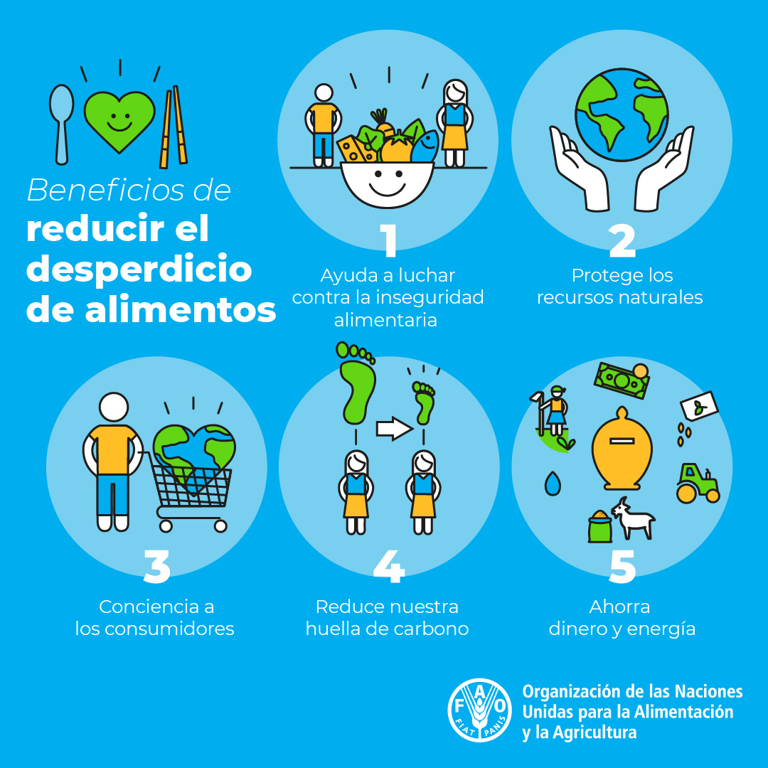 Cada día se pierden o desperdician toneladas de alimentos, mientras que 828 millones de personas se acuestan a dormir con hambre.

Ayudemos a frenar ese problema, en el Día sobre la Pérdida y el Desperdicio de Alimentos y siempre. fao.org/international-… vía <a href="/FAOenEspanol/">FAO en español</a>