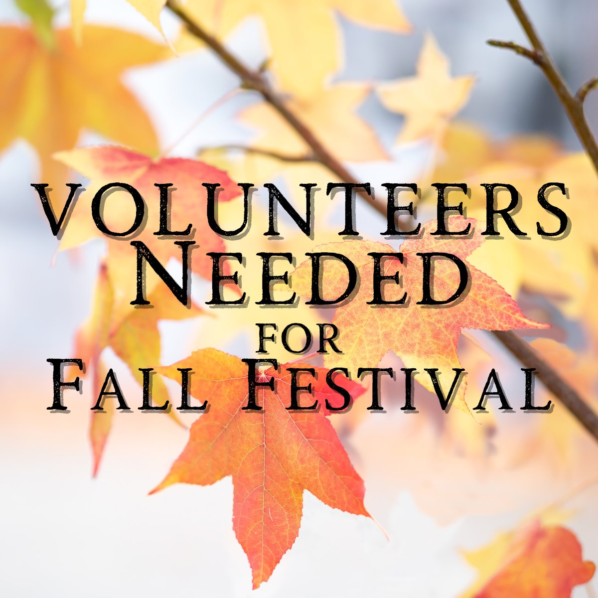 GCCKYCHURCH's tweet photo. Fall Festival: 10.09.22
We are in need of volunteers to:
1) Bring a crockpot of chili for the chili contest and it will be dinner for the congregation!
2) Make a dessert 
3) Staff a game

Please contact Sarah Honaker by email or call our office during office hours at 859-498-3876 https://t.co/XAusFbLPtE