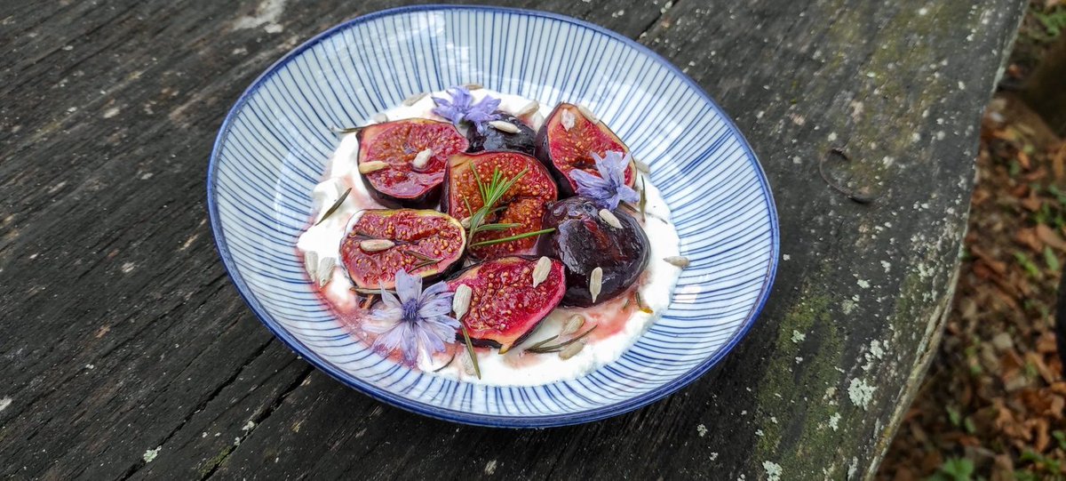 blackberryskunk's tweet photo. #EarnCrypto $Hive posting your recipe #Recipe #Cooking #Foodie #vegan #plantbased #HIVE #Blockchain #HiveBlogShare Join #Hive and earn rewards with your content. Full recipe on my hive blog:

https://t.co/c4OOTf4LR7 https://t.co/0D0lJzy5iA