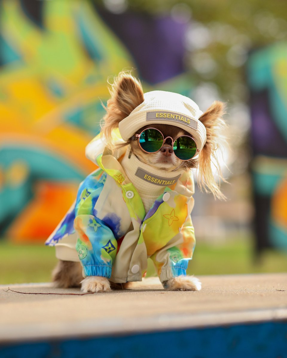 STOP SCROLLING ⚠️
￼
Take a deep breath. Everything will be okay, I pawmise.
I love you more than barks can express. 
PS: You can boop my snoot for extra luck 🪄
￼
Have a bLoutiful day. 💜💛💙💚