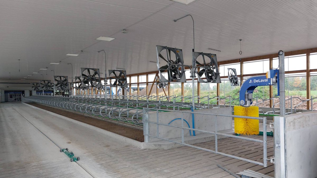 We are getting close to milking at Van de camp Holsteins 🐄 
<a href="/DeLavalCanada/">DeLaval Canada</a> #DairyDoneWell #ontag #farming 
📷 <a href="/EthanBrownCow/">Ethan Brown</a>