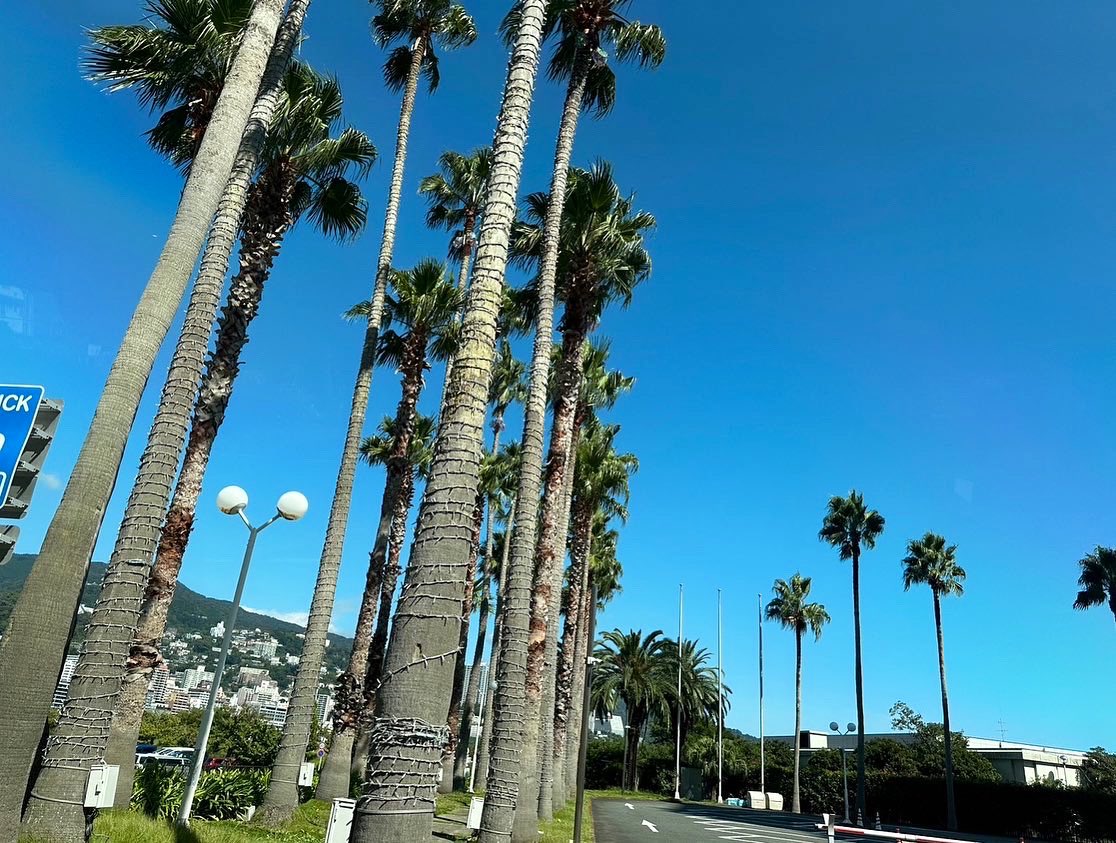 熱海旅行良かった😃

#熱海
#静岡県 
#infinity72 
#泊まりたい宿