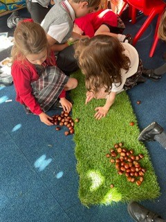 Carolside_PS's tweet image. P2 used their estimation skills to count how many conkers they had. They counted up in 2s and 10s and then estimated the final total! How many do you think they collected?🤔🌲@mathsweekscot #CPSSTEAM #ERCSTEM