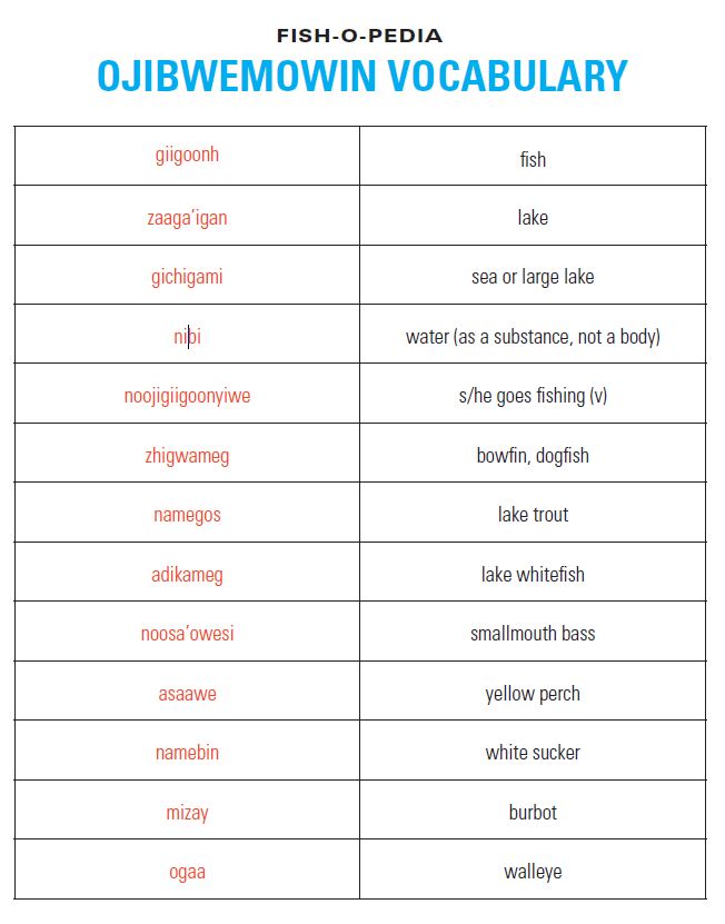 WiscWaterLib's tweet photo. Our Fish-o-pedia Pack is now bilingual! @mayareinfeldt, our #CommunityEngagedIntern created this wonderful vocab list! 

Packs are available for checkout: https://t.co/tBNMyAWrQW https://t.co/olriFrpMc0