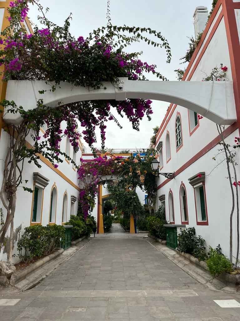 maitanecerrada's tweet photo. Gran Canaria eta zu 🫶🏻❤️ https://t.co/bQK11eClHZ