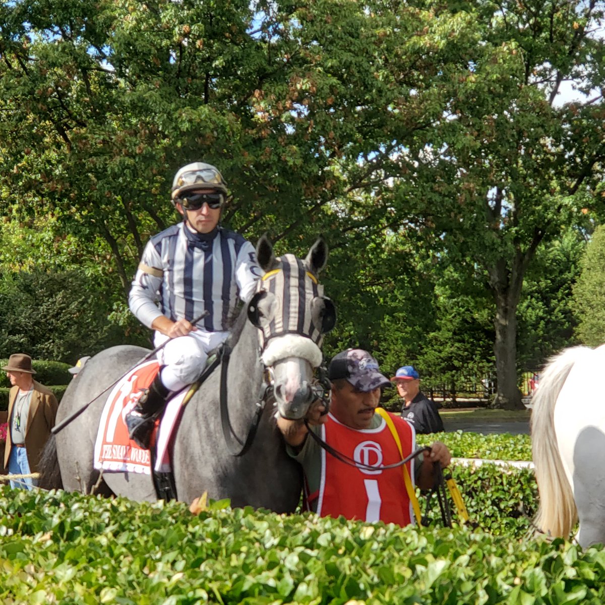 SadandSulk's tweet photo. Winner of The Small Wonder @DelParkRacing Bound By Destiny @CloudStable Jeremy Rose, Anthony Pecoraro. https://t.co/epNf3eYfDL