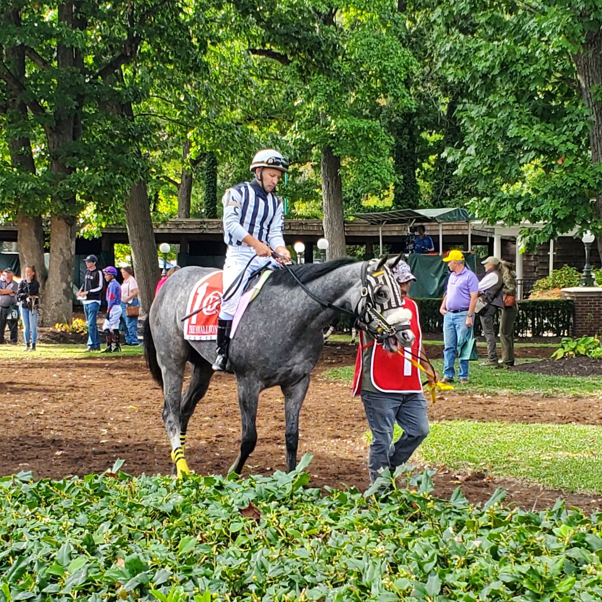 SadandSulk's tweet photo. Winner of The Small Wonder @DelParkRacing Bound By Destiny @CloudStable Jeremy Rose, Anthony Pecoraro. https://t.co/epNf3eYfDL