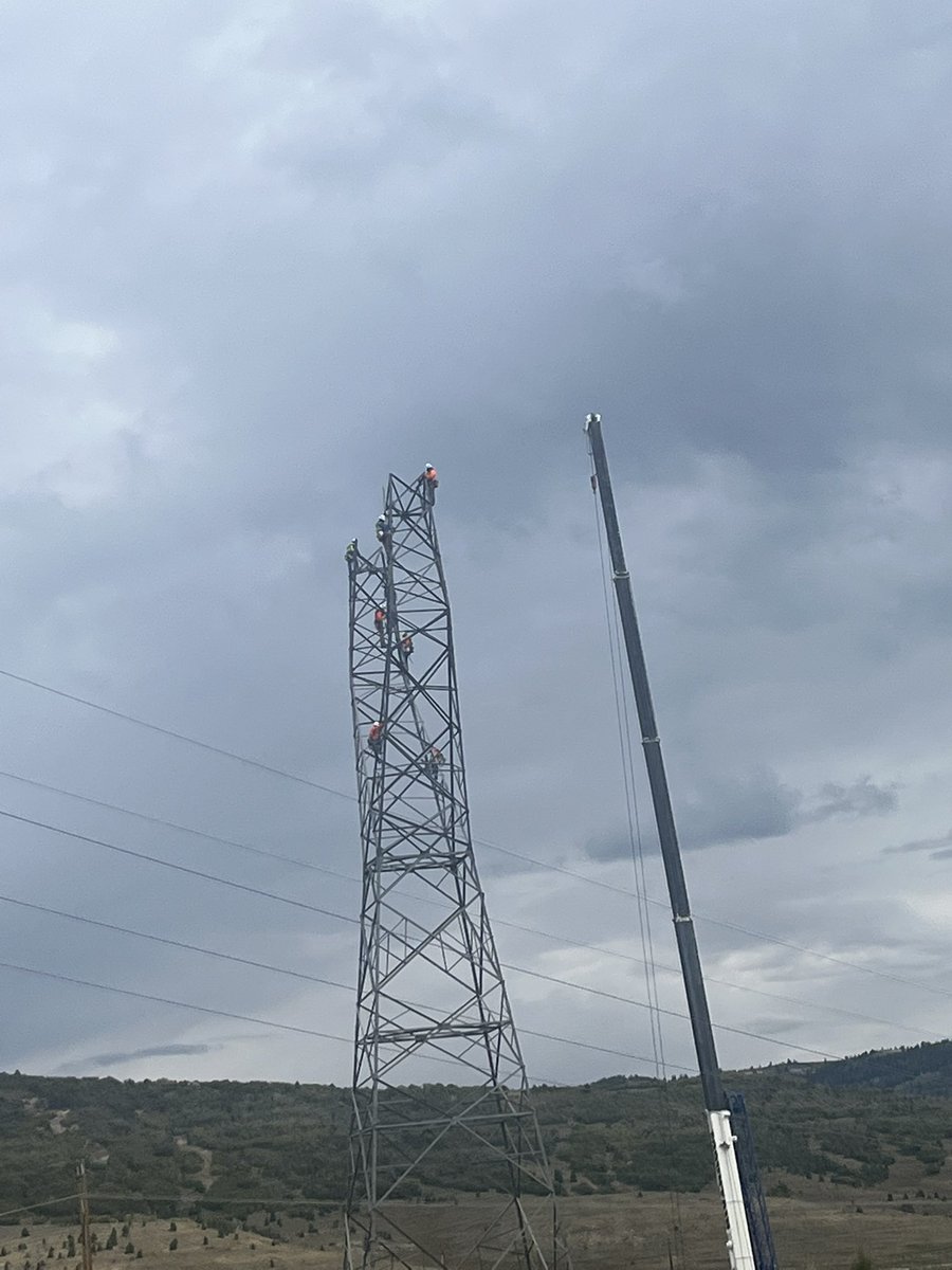 It’s fall in the canyon. But the leaves on one of these trees don’t seem right.