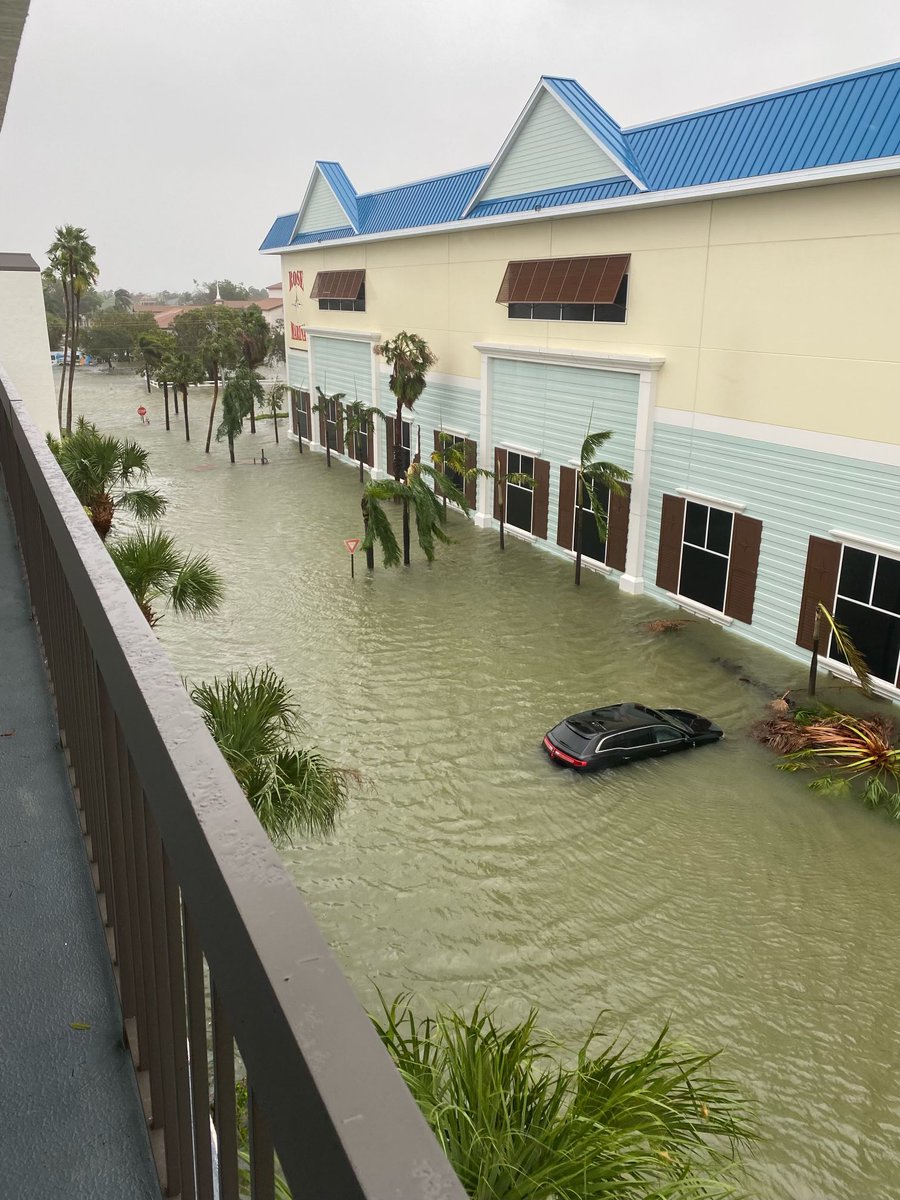 andreabpicard17's tweet photo. @ryanhallyall Rose Marina in Marco Island, FL https://t.co/tpMp5c6AeE