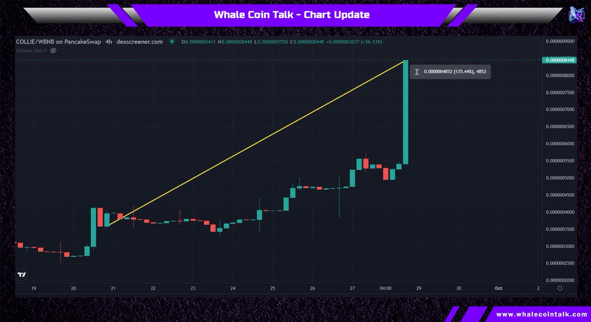 Whale Coin Talk tweet media