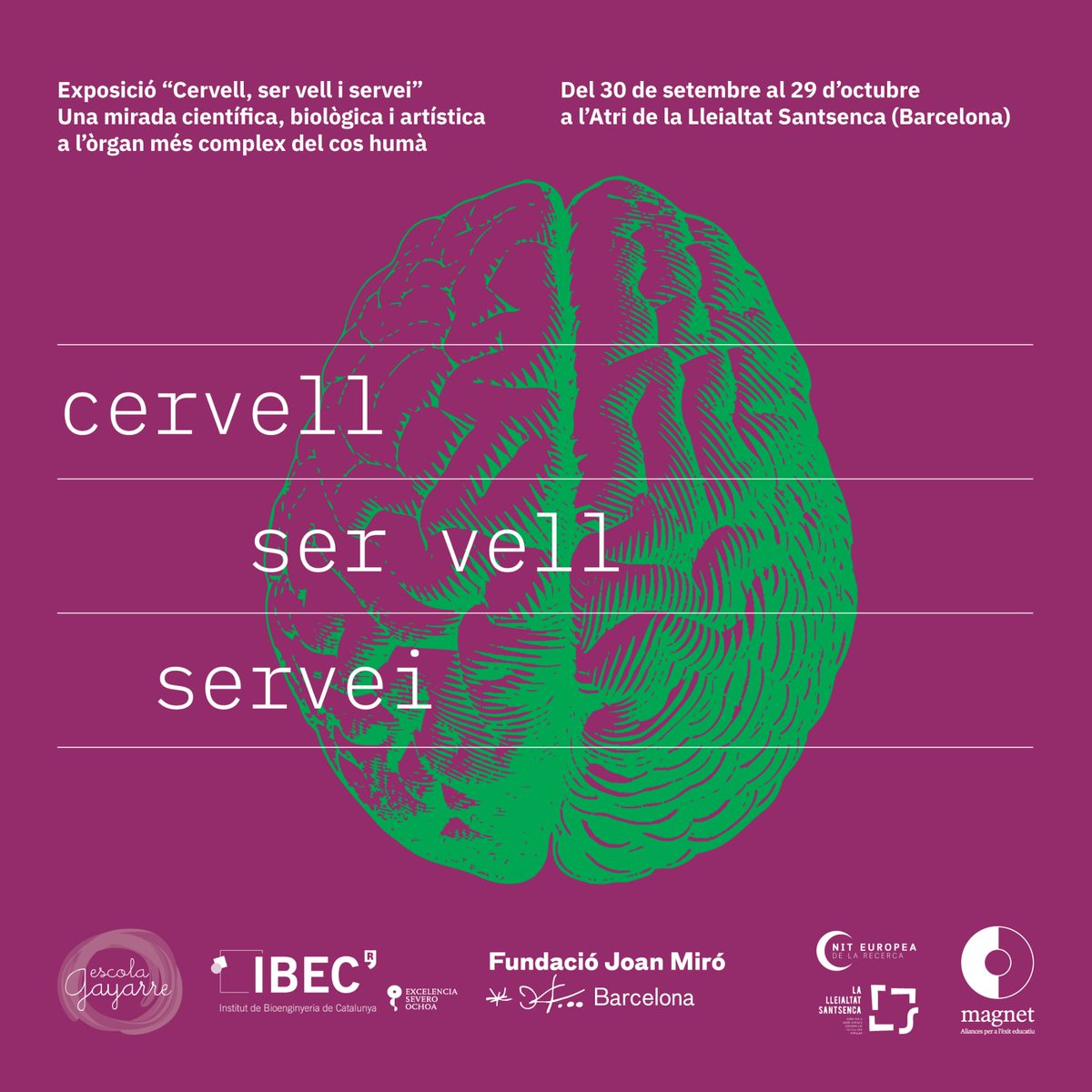 EscolaGayarre's tweet photo. Amb motiu de l'acte inaugural de l'exposició "Cervell, ser vell i servei" que tindrà lloc a la Lleialtat Santsenca aquest proper divendres, l'alumnat de 5è ha penjat cartells i ha informat el veïnat. Us esperem el dia 30 a les 17:30h per compartir aquest projecte tan especial. https://t.co/6LwCIgJJuy