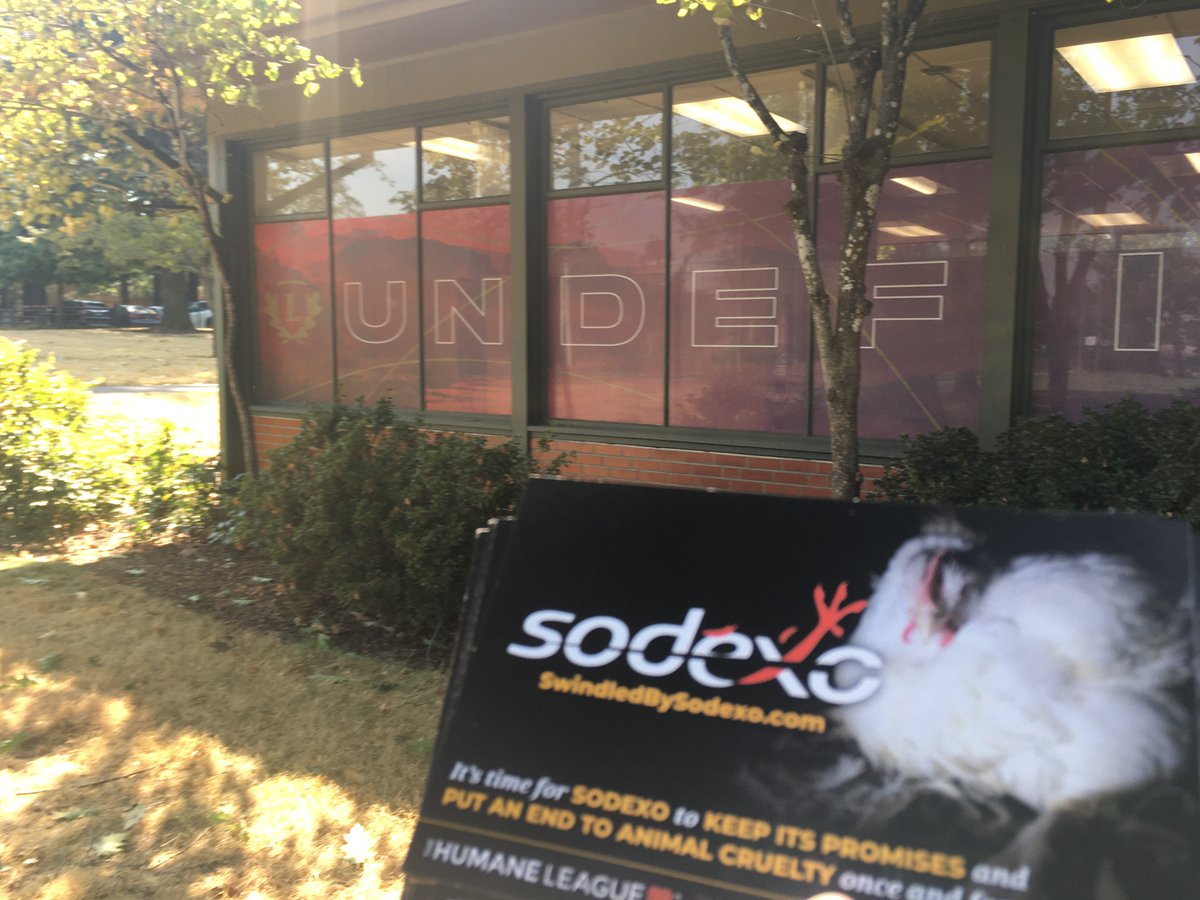 Aimee May tweet media