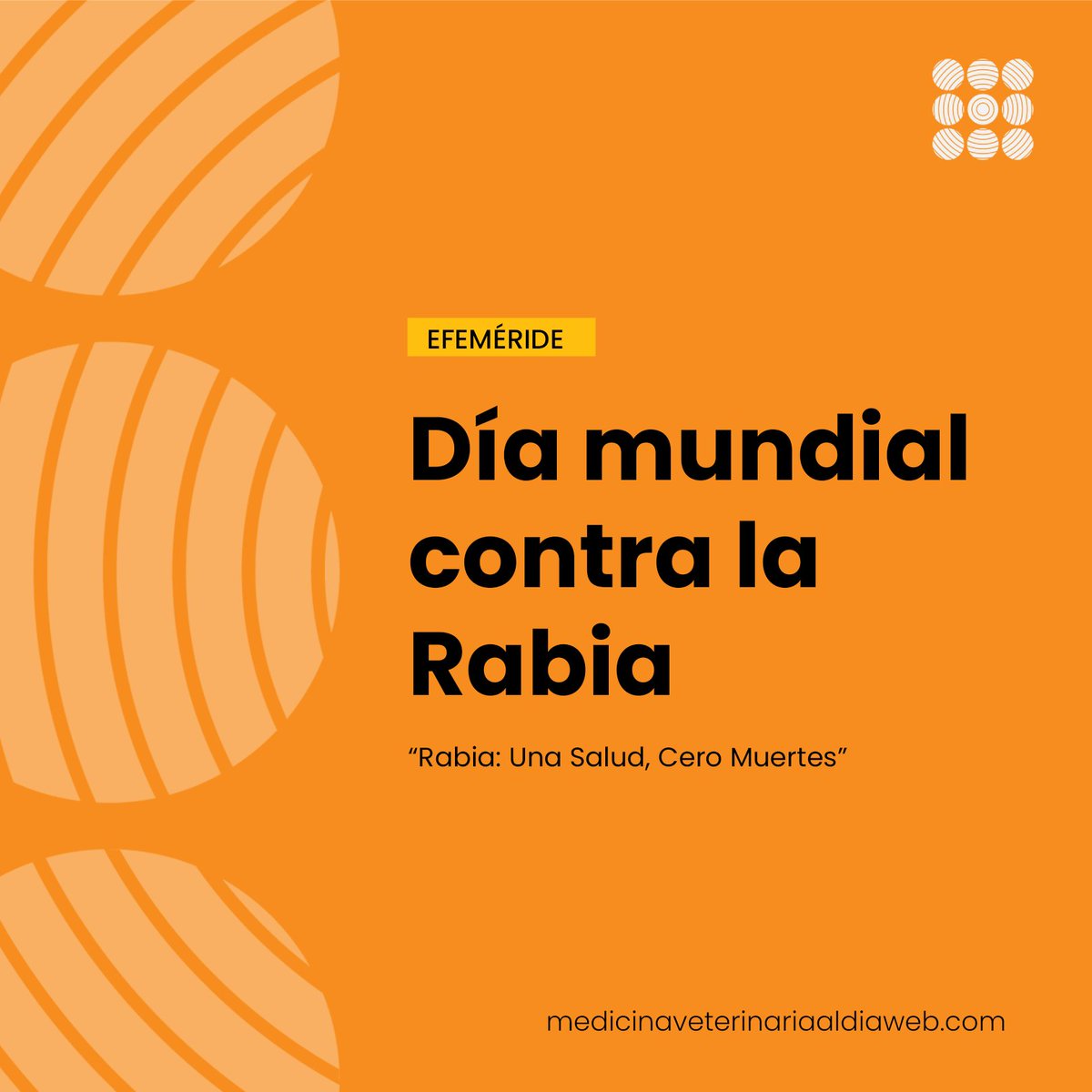 MVeterinaria's tweet photo. El 28 de septiembre se celebra el Día Mundial de Lucha contra la Rabia, promocionado por la Alianza Global para el Control de la Rabia, con el fin de insistir en las consecuencias de la rabia humana y animal, y explicar la manera de prevenirla. https://t.co/rZ6891EQlW