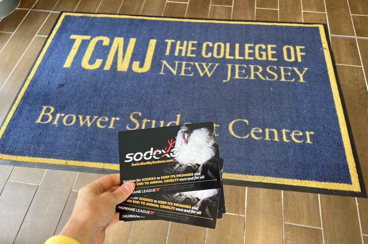 Aimee May tweet media