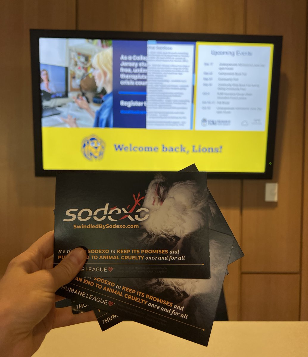 Aimee May tweet media