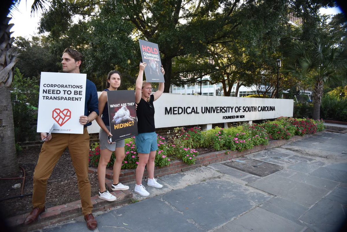 Aimee May tweet media