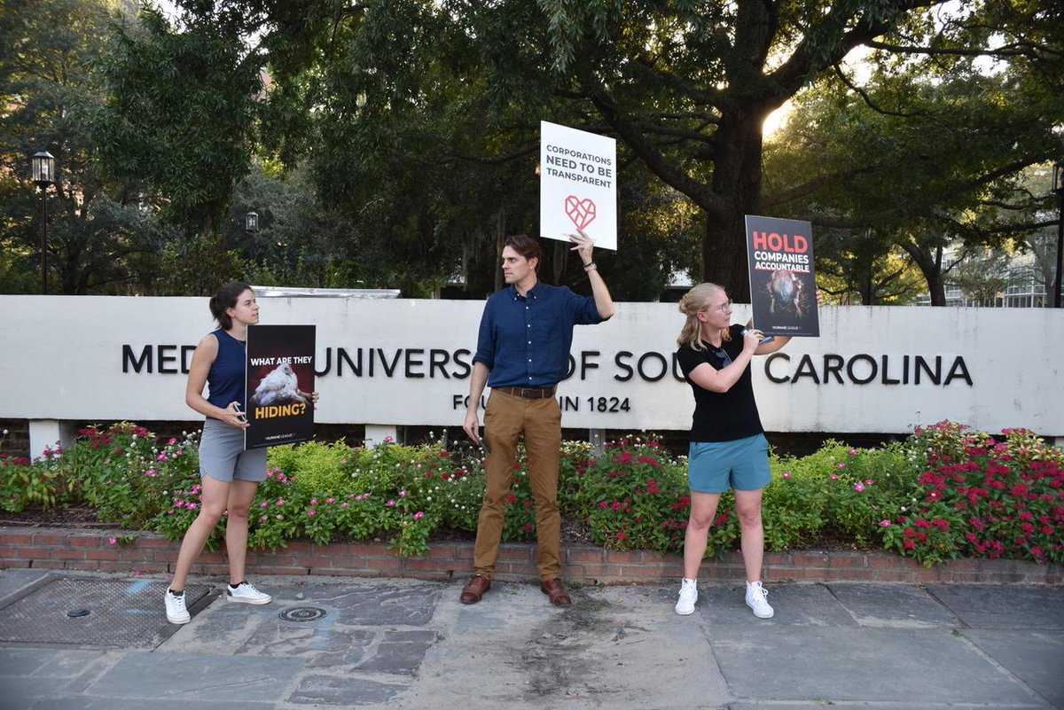 Aimee May tweet media