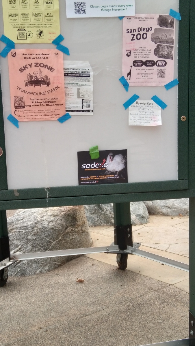 Aimee May tweet media