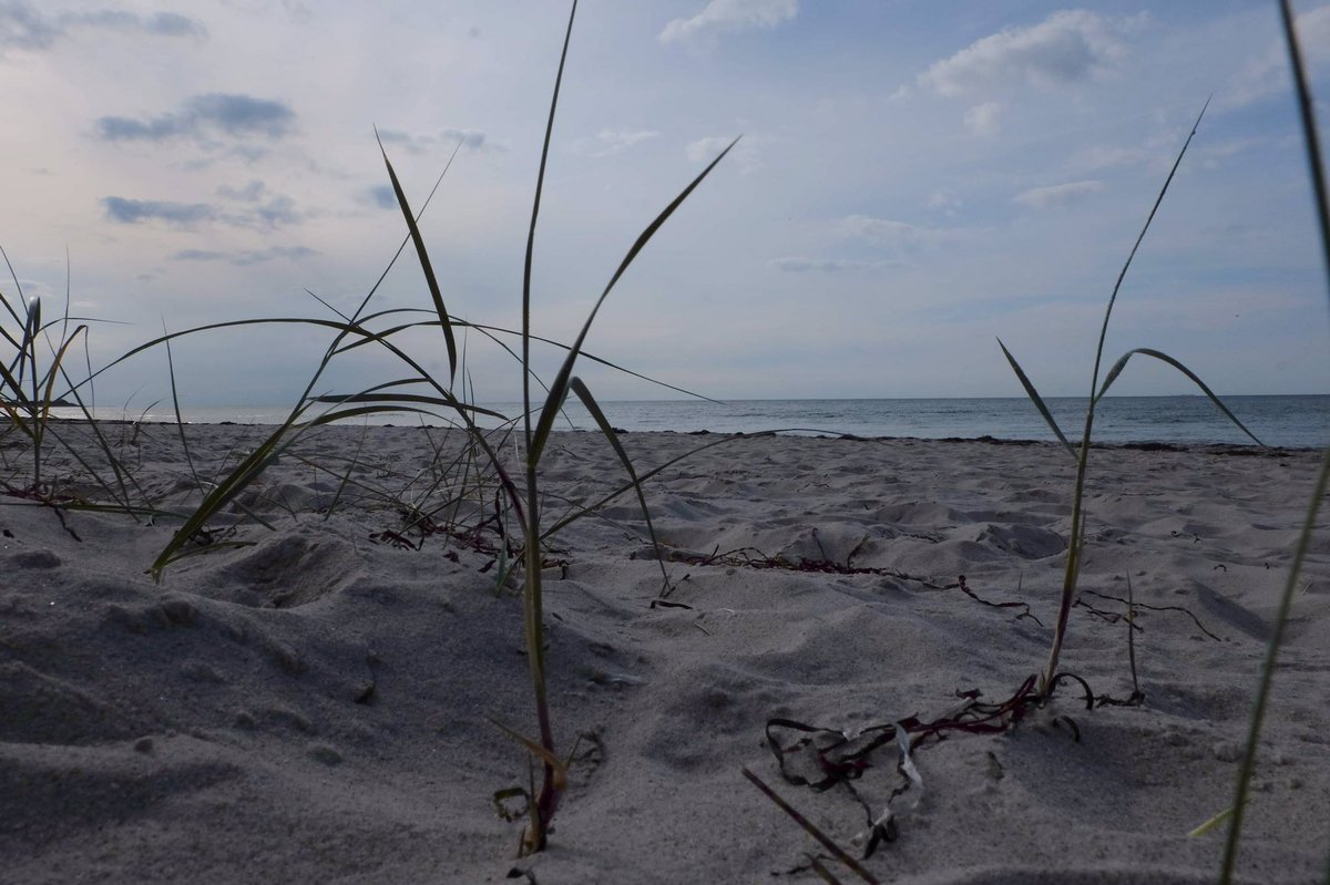 Baltic Sea, West beach 😊🙌