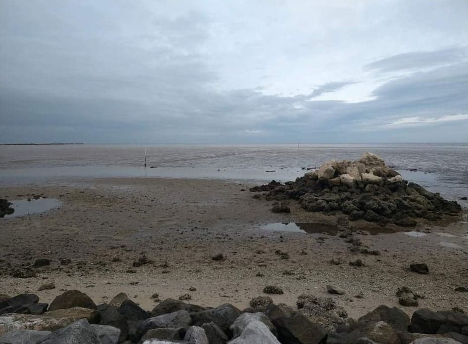 WCJB TV20 News on Twitter "Tuesday morning Horseshoe Beach water