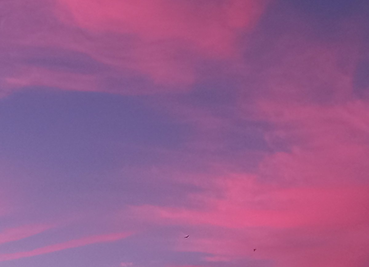 𝕯 ⋆˚｡ tweet media